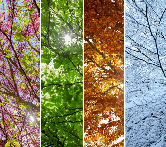 Skincare tips for each season.
